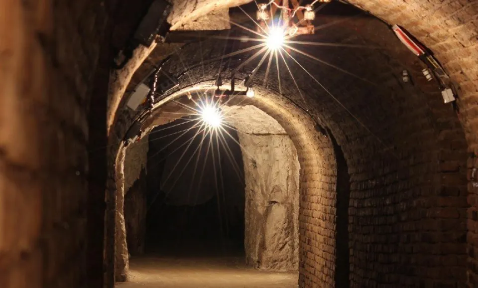 Tour and Tasting of 2 Champagnes