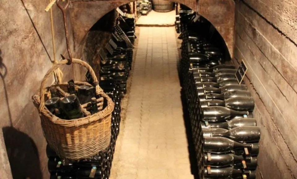 Tour & Proeverij 5 Champagnes (90 min)
