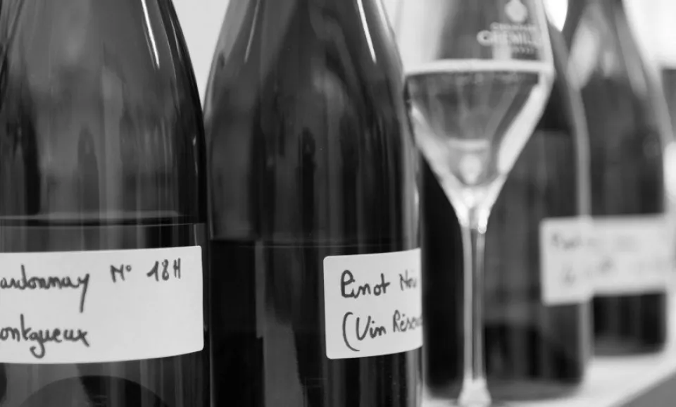 Tour en Proeverij Gastronomie