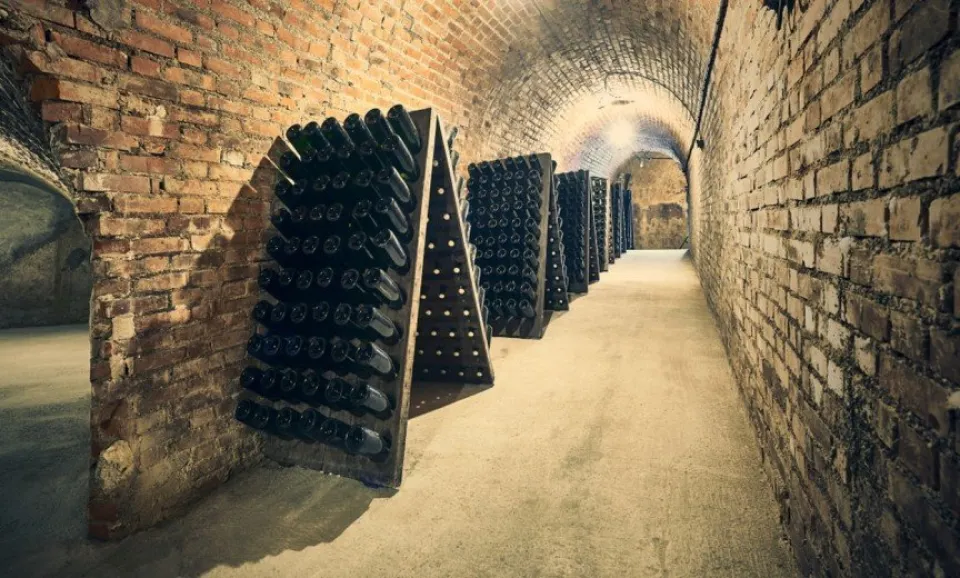 Tour & Proeverij 1x Brut Champagne (Engelstalig)