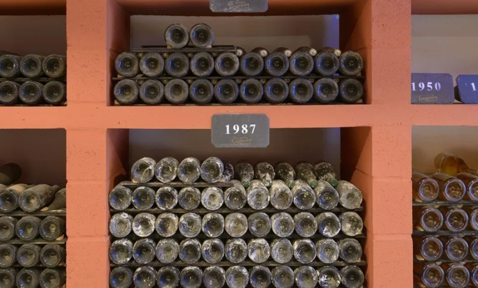 Visite et Dégustation de 3 Champagnes