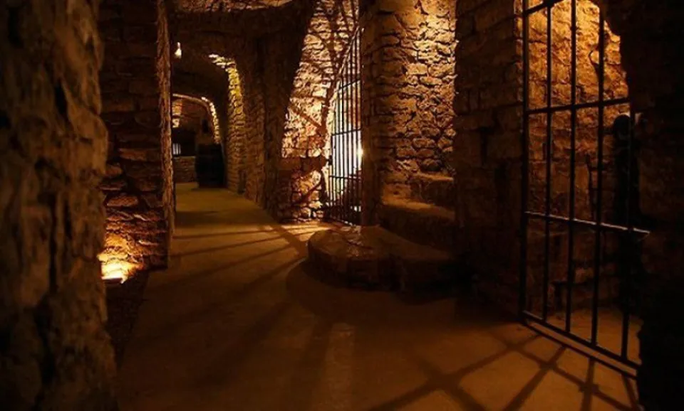 Tour & Tasting 3 Champagnes