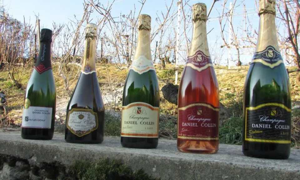 Tour & Proeverij van 5 Champagnes