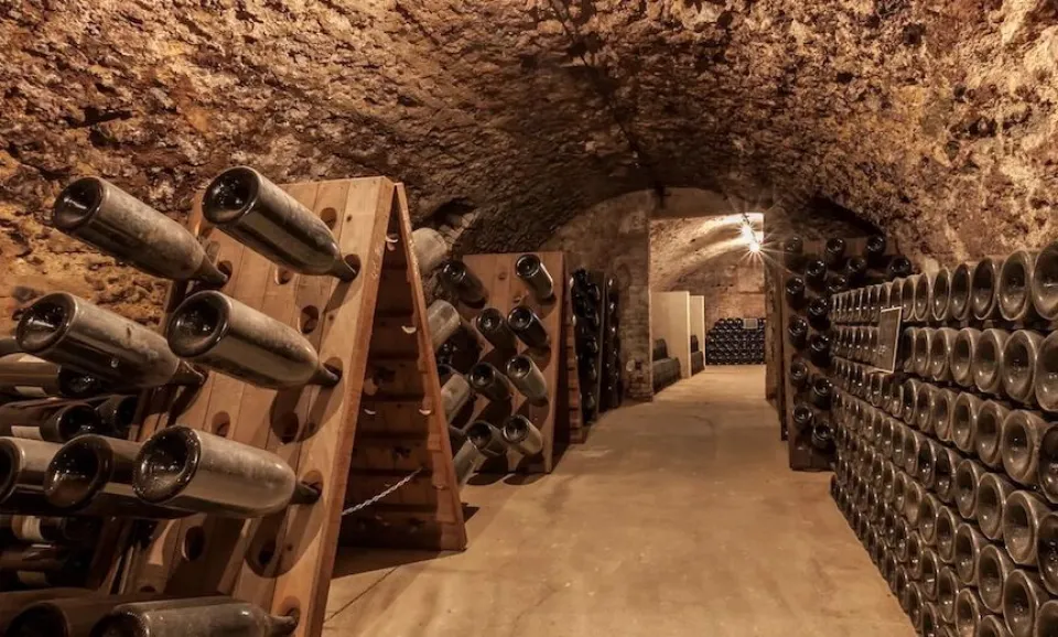 Tour & tasting