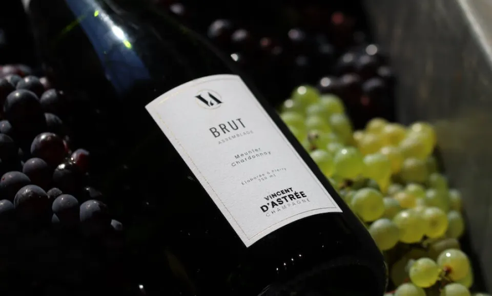 Workshop grape varieties