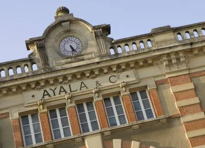 Ayala Champagne in AY bezoeken - Tour & proeverij