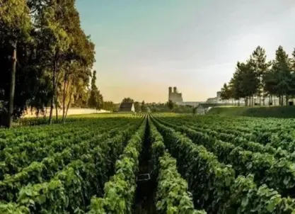 Lanson Reims - Champagne Booking - Visite de cave