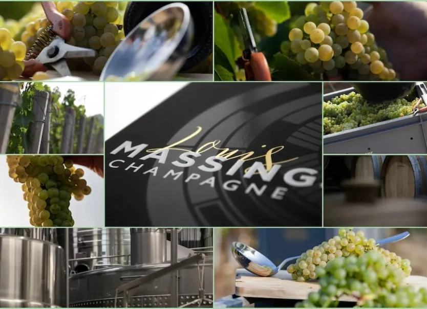 Champagne Louis Massing in Avize bezoeken | Tour & Proeverij