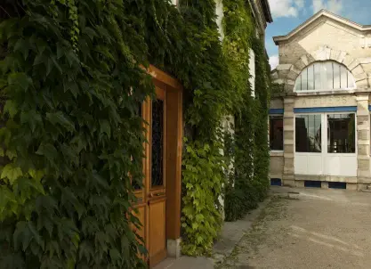 Champagne Brimoncourt (Ay) - Visite et dégustation