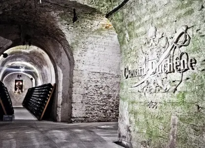 Canard-Duchêne, Ludes - Visite de cave