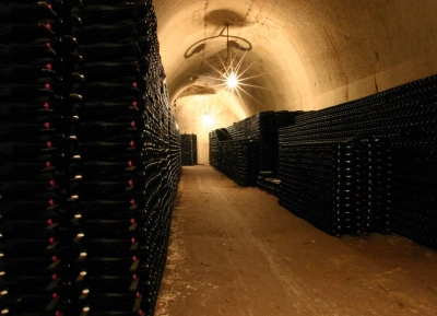 Champagne Jacquinot & Fils - 15