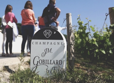 Champagne JM. Gobillard et Fils - 7
