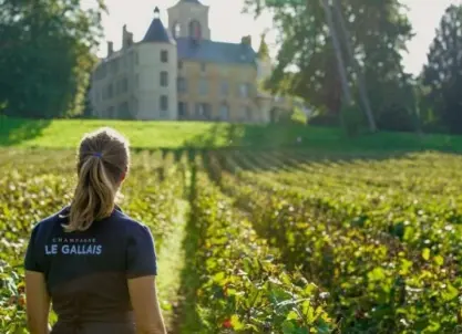 Champagne Le Gallais - Beautiful vineyard Tour & Tasting!