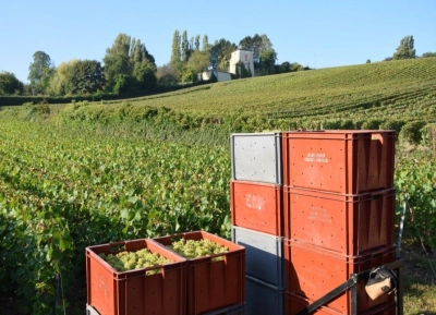 Champagne Liébart-Régnier - 5