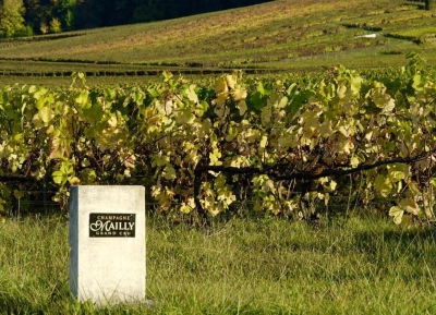 Champagne Mailly Grand Cru - 2
