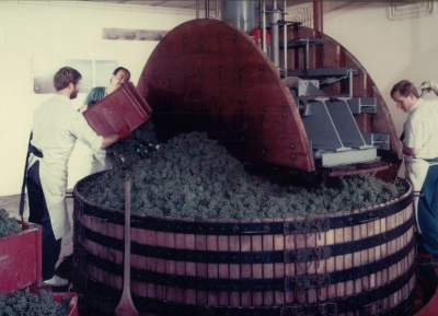 Champagne Roger-Constant Lemaire - 9