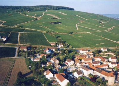 Champagne Alain Mercier - 9
