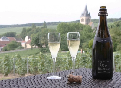 Champagne Bergeronneau-Marion - 6