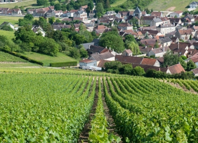 Champagne Gremillet - 4