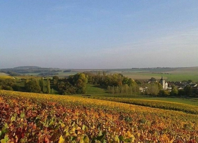 Champagne Joël Falmet - 12