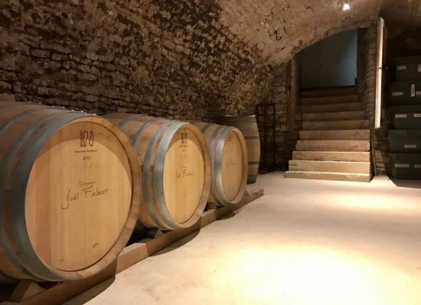 Champagne Joël Falmet - Tour & tasting