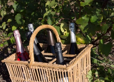 Champagne Lahaye Berthelot - 5