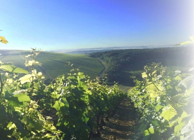 Champagne Poinsot Frères - 1
