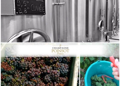 Champagne Poinsot Frères - 10