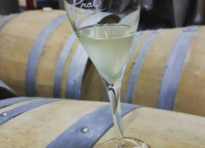 Champagne Yveline Prat - 8