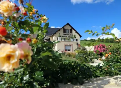 Champagne Boude Baudin bezoeken - Tour & proeverij