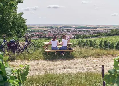 Visite Champagne Charles Pougeoise - Découvrez les vignobles