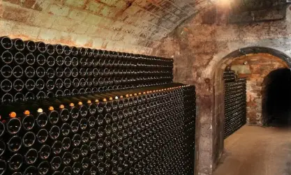 Champagne Delaunois D & Fils - Visite et dégustation