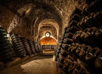 Champagne Phillipponat - Visite de cave et dégustation