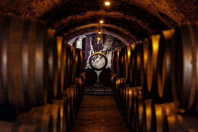 Champagne Philipponnat - 5