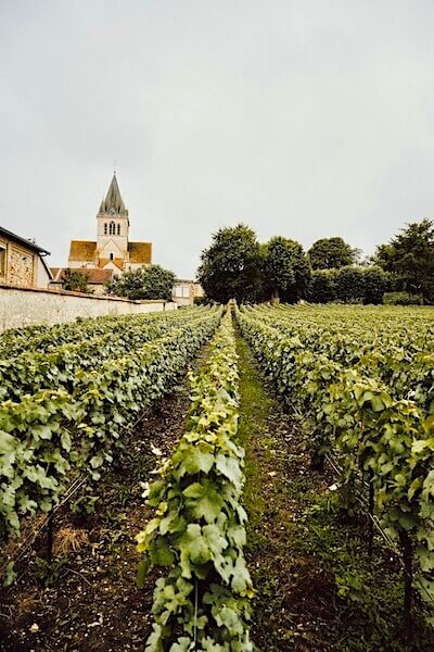 Clos Bergeronneau