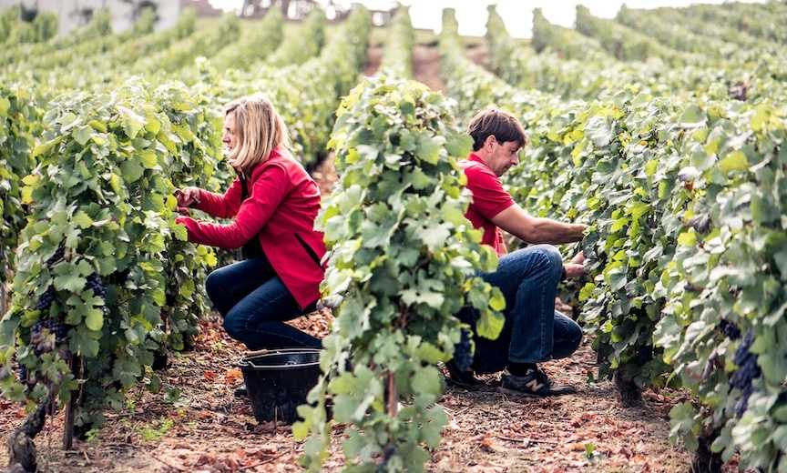 Visite privée immersive avec votre vigneron