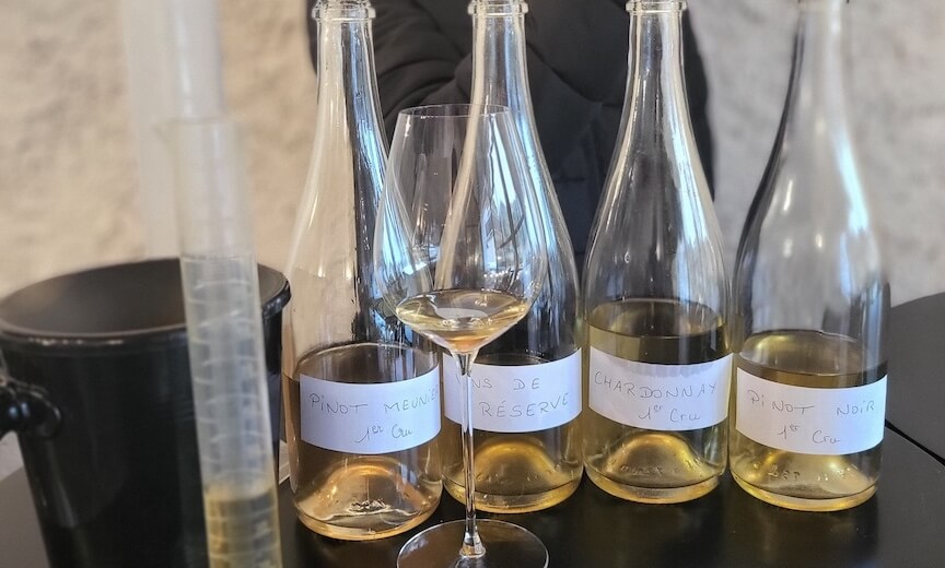 Introduction to clear wine tasting