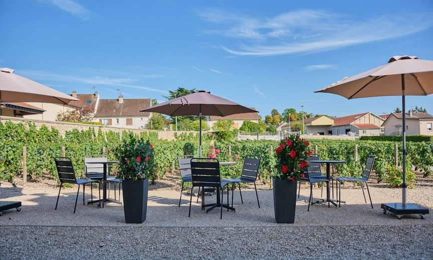 Champagne tasting amidst our walled vineyard