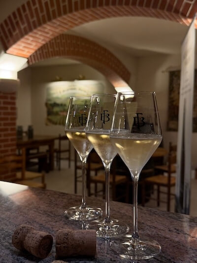 Champagne Bergeronneau-Marion