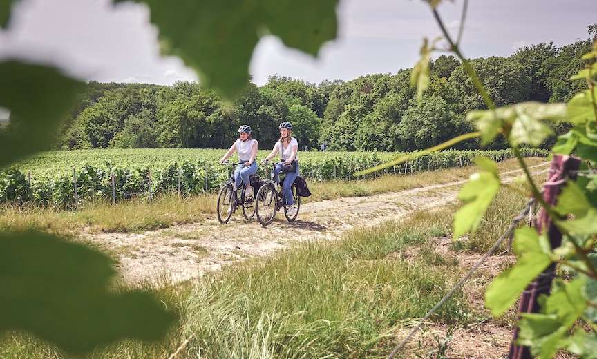 Parcours à vélo électrique + dégustation de champagne